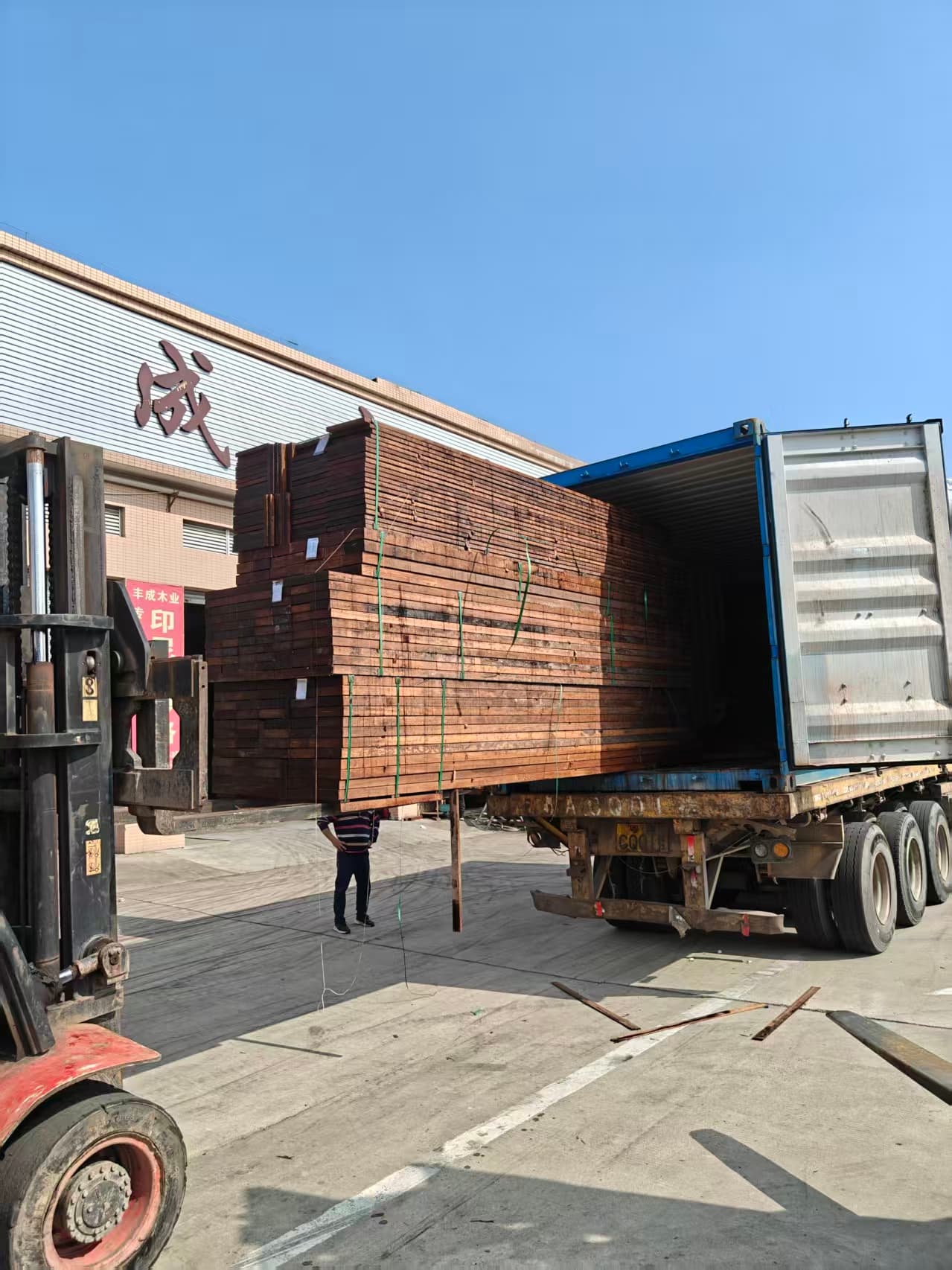 Full view of Merbau timber container loading at the factory