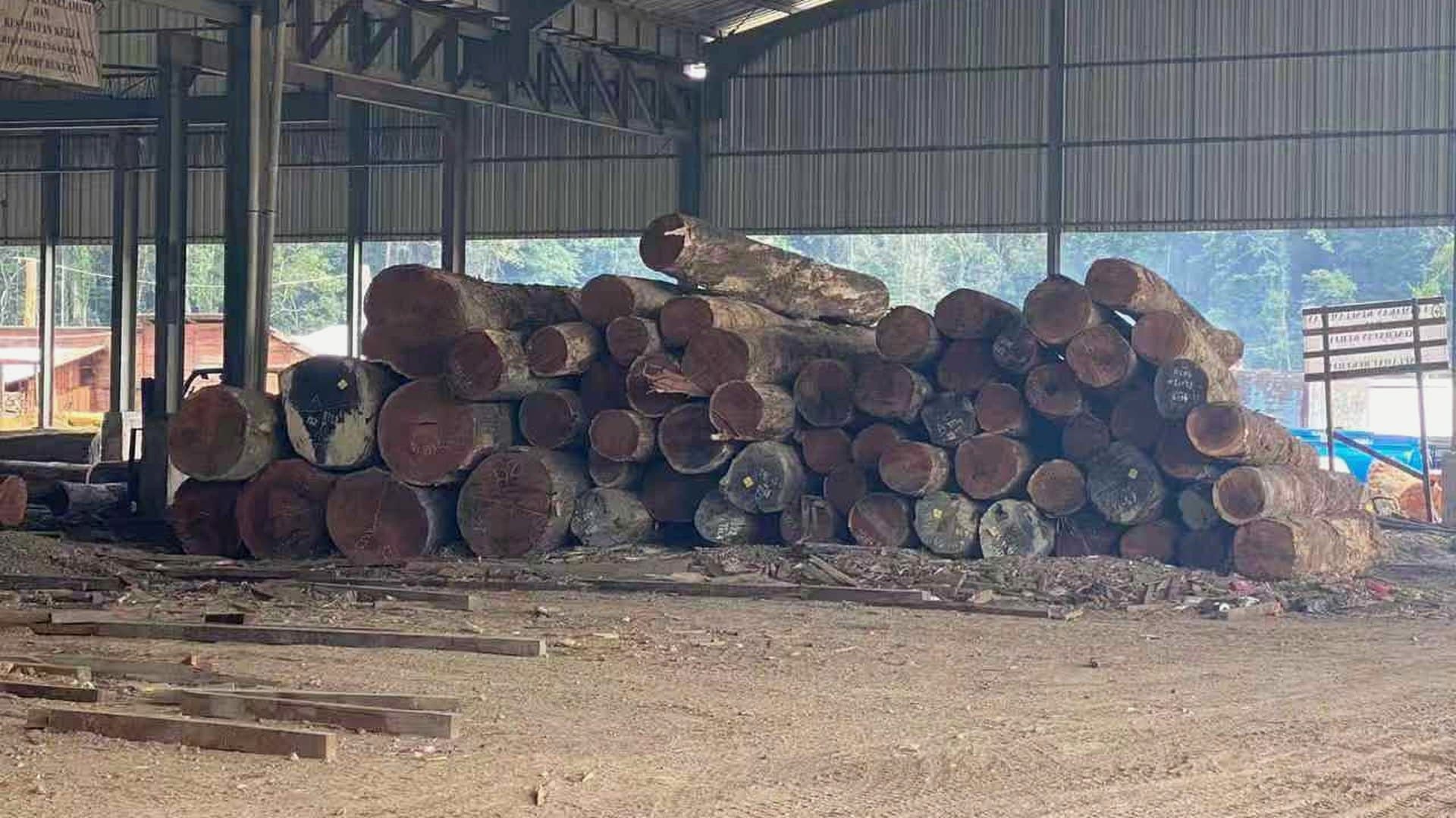 Logs Center