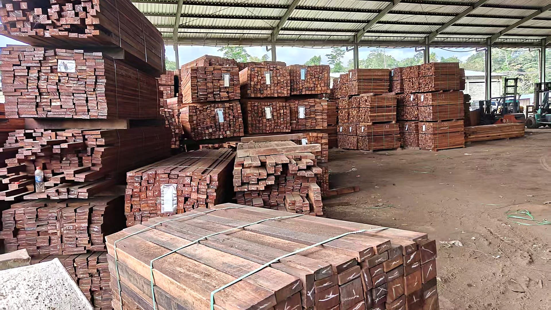Timber production line for cutting and grading hardwood