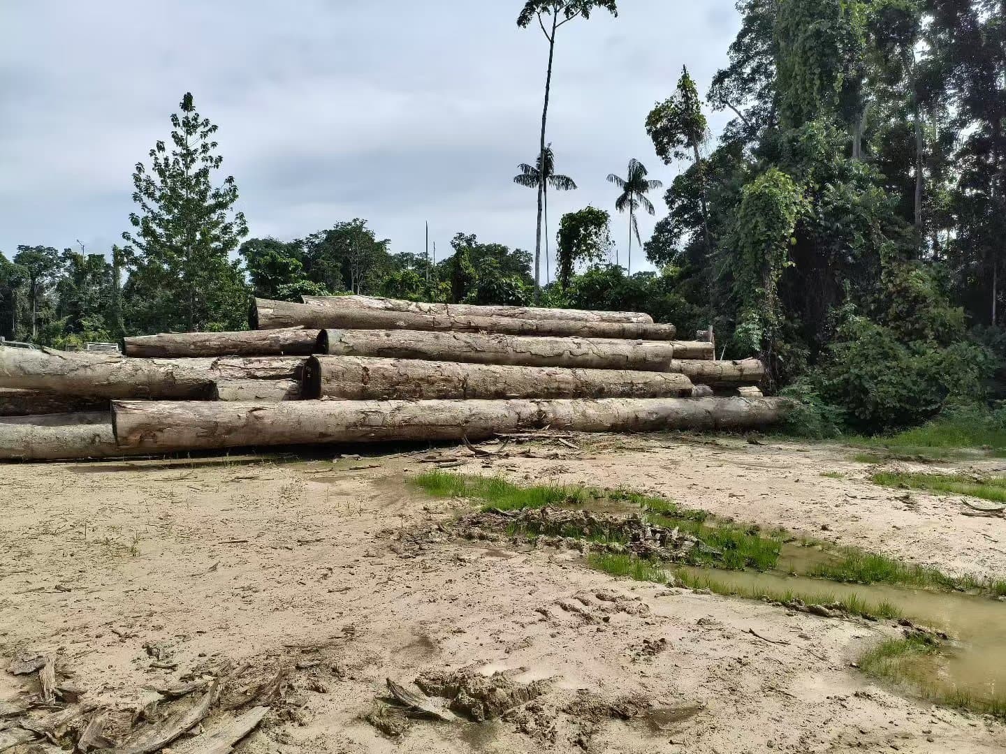 Logs Center supply evidence